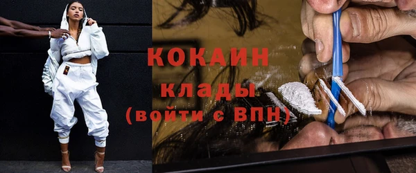 твердый Новодвинск