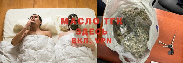 индика Абаза
