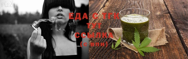 хмурый Новозыбков