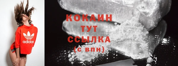 индика Абаза