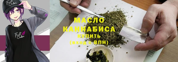 индика Абаза