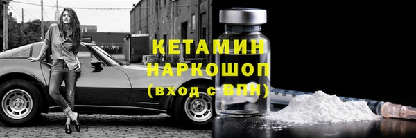 хмурый Новозыбков