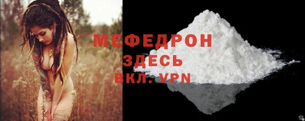 индика Абаза
