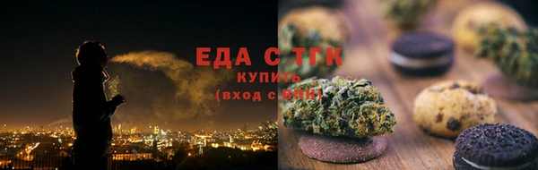дживик Сясьстрой
