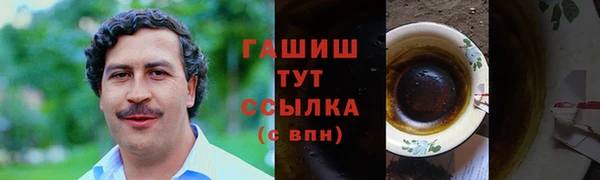 индика Абаза