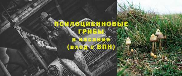 индика Абаза
