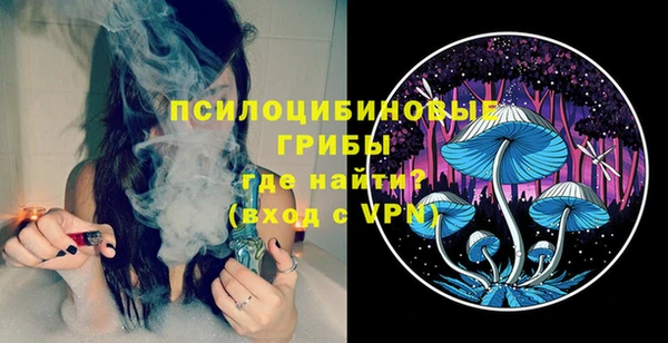 индика Абаза