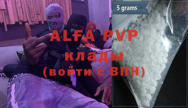индика Абаза