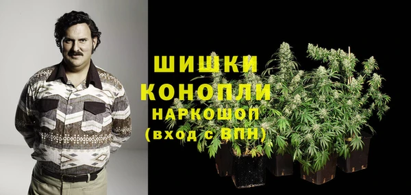 индика Абаза