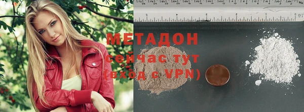индика Абаза