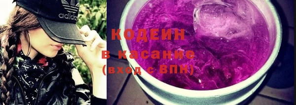 твердый Новодвинск